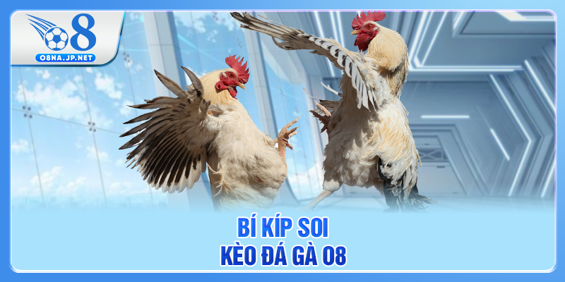 Bí kíp soi kèo đá gà O8