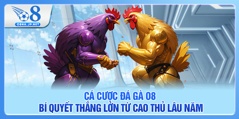 Cá Cược Đá Gà