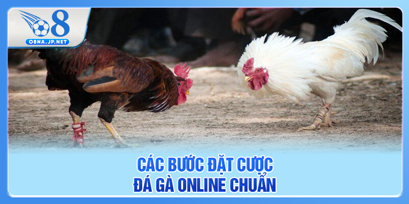 Các bước đặt cược đá gà online chuẩn