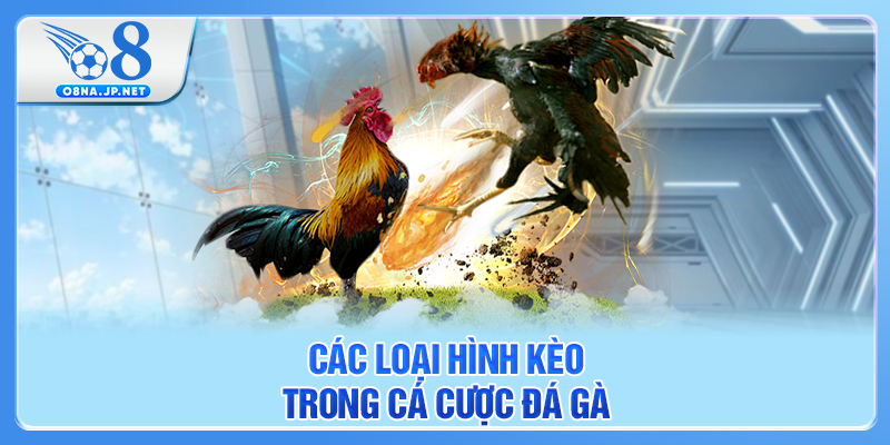 Các loại hình kèo trong cá cược đá gà