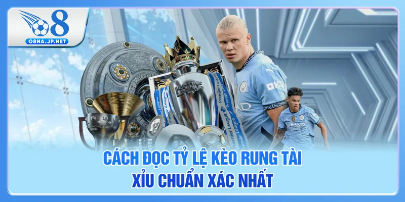 Cách đọc tỷ lệ kèo rung chuẩn xác nhất