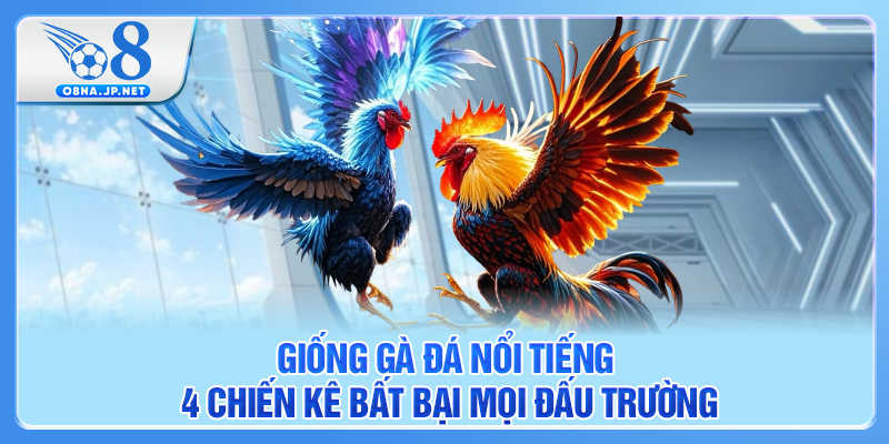 Giống Gà Đá Nổi Tiếng