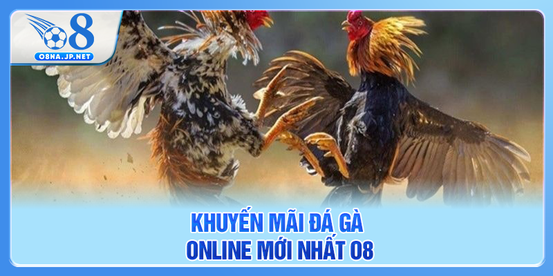 Khuyến mãi đá gà online mới nhất O8
