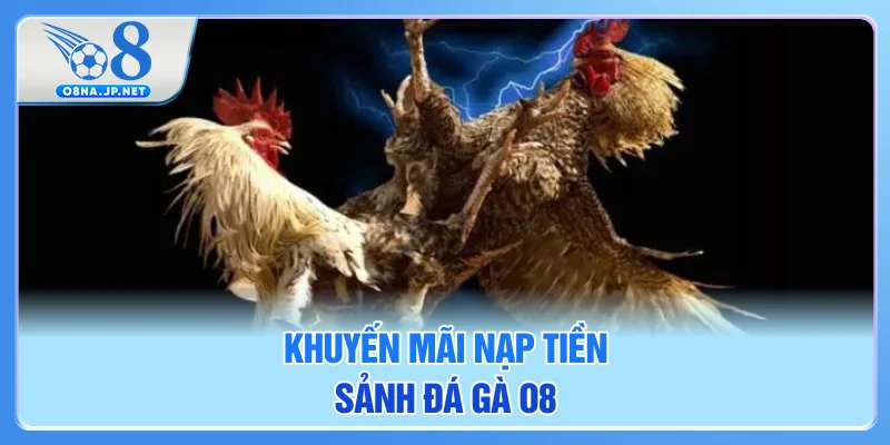 Khuyến mãi nạp tiền sảnh đá gà O8