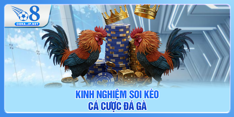 Kinh nghiệm soi kèo cá cược đá gà