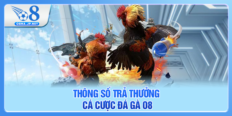 Thông số trả thưởng cá cược đá gà O8
