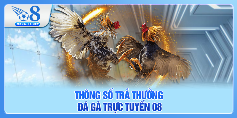 Thông số trả thưởng đá gà trực tuyến O8